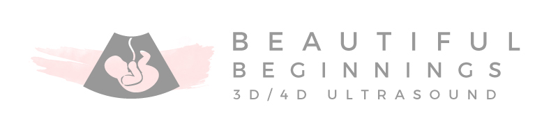 Beautiful Beginnings Logo
